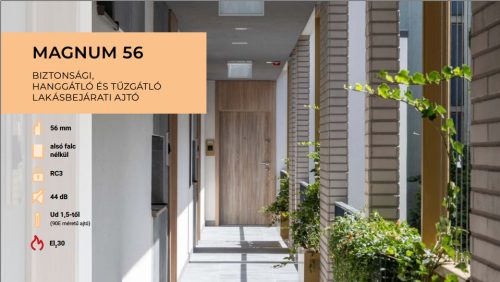 Delta_magnum_56_lakasbejarati_ajto_enterior